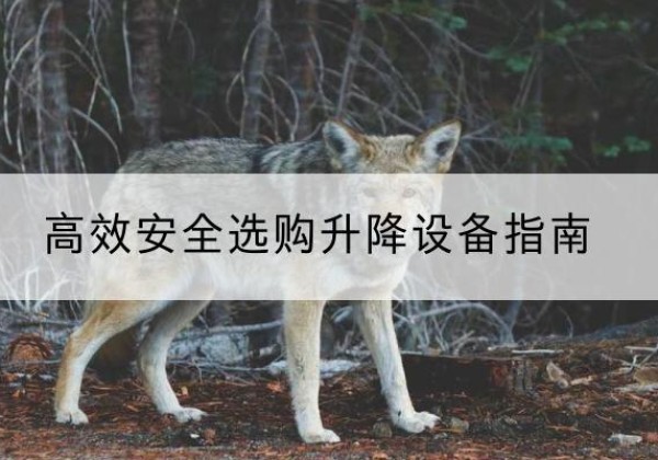佛坪升降货梯厂家推荐-*安全选购升降设备指南