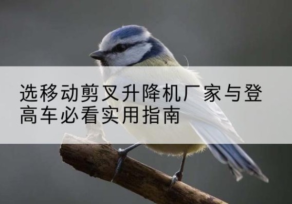 佛坪电动升降机厂家-选移动剪叉升降机厂家与登高车必看实用指南