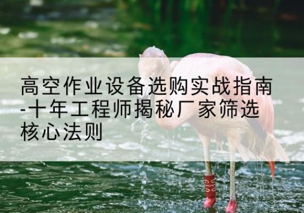 佛坪剪叉式升降机厂家-高空作业设备选购实战指南-十年工程师揭秘厂家筛选核心法则